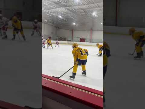 Jr Preds 13u AAA