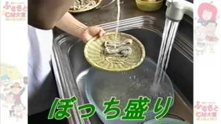 ずっとお蕎麦にいたい!戸隠