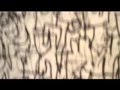 marfa one video