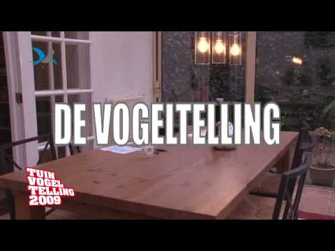 YouTube voorvertoningsafbeelding