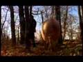 Gaston and the Truffle Hunters (clip)