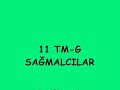 sa?malc?lar 11tmg