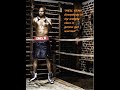 roy jones jr – Can't Be Touched
