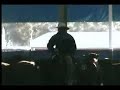 One Hellofaspin-Cutting Horse-153