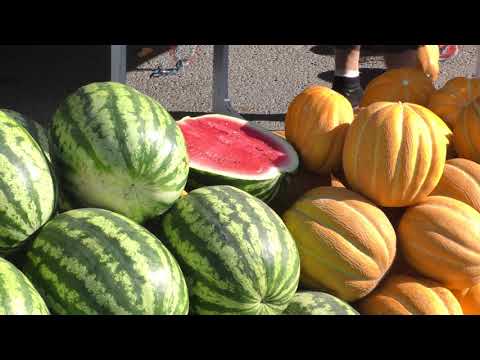 Просмотр видео