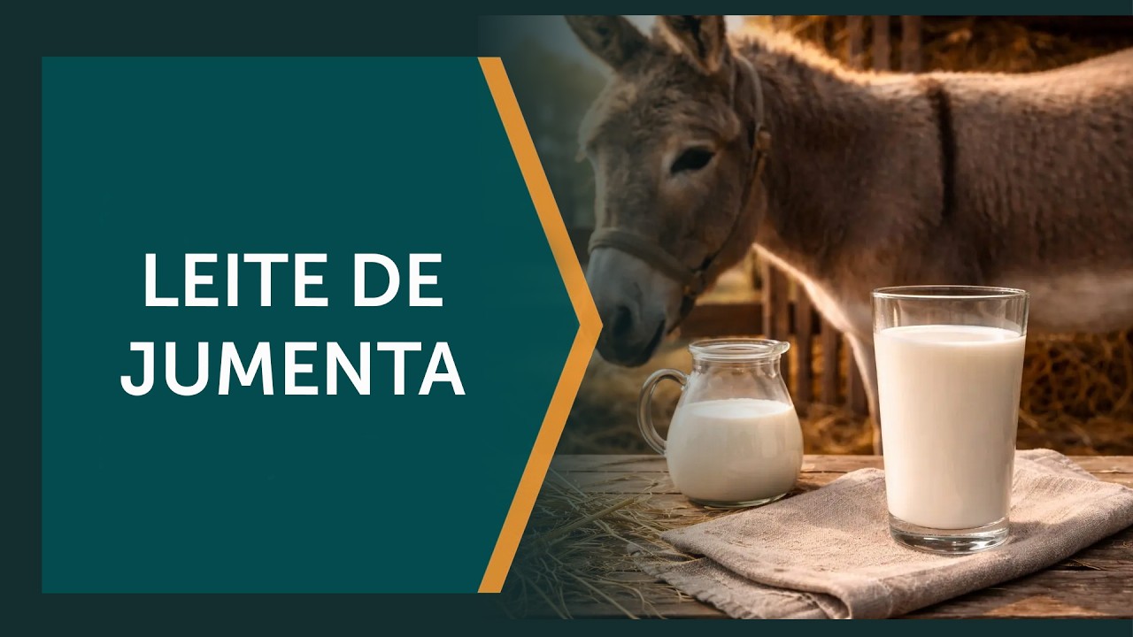 Componentes que beneficiam a pele