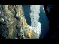 Mineralogy of Hydrothermal Vents