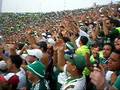 grito da mancha verde ... arrepia heim!!!