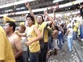 avalancha contra las margaritas