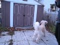Lucie and Teddy playing