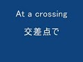 熟女のお散歩風景