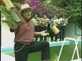 Dalmiro Cuellar - Hoy me iré Dalmiro Cuellar - Hoy me iré