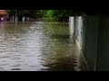 limón inundado ii