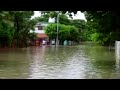 limón inundado ii