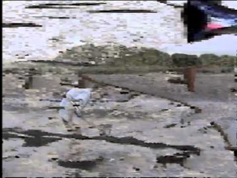 See video