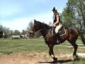 Recon: KHP Schooling