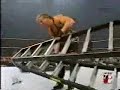 wwsummerslam-1996-hbk-vs-vader24.html