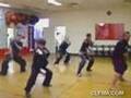 Kung Fu- Sydney Choy Lee fut Hung Sing Gwoon