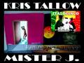 (STEREO) Kris Tallow - Mister J rare