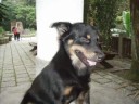 2008810.html