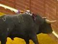 Bullfight in Lisbon