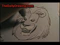 Lion Drawing