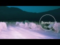 bonobo musician biography sample bonobo musician biography sample