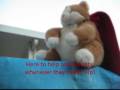 videos de Hero Cat!