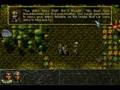 Let's Play Albion 13: Plot Twist! Again!