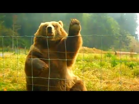 how to be camera friendly