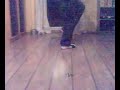 Melburne Shuffle Switching BasicsTutorial german/deutsch