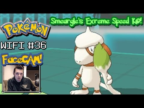 how to train smeargle pokemon x