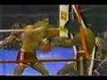 Gomez vs Pintor... 12th Brutal Round