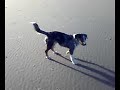 Letzter und schönster Tag des Jahres 2007 auf WANGEROOGE