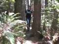 Humbug Mountain hike