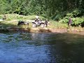 Quady-?wiebodzice Quady-?wiebodzice