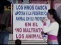 Circo de los Hermanos Gasca = Maltrato Animal