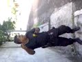 el poli yankeee el poli yankeee