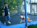 Somersaults or Cartwheels? You Decide!