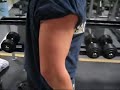 Sugden Bicep Blast