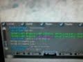Guild Wars glitch