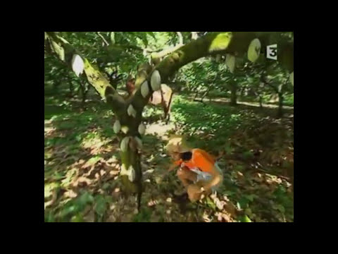 plaisanterie - Joyeux Noël bande de saas ! Une intro déglingue pour une poop très banale au final + un bonus chouette :D.