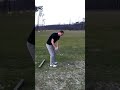 Golfovy svih 1 - foto 1