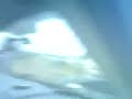 cuarto de milla en toluquilla
