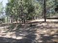 Chilao Trail