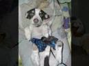 mi perrita ^o^