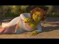 turk sherk