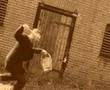 Railroad Bill - Ugly Dog Skiffle Combo