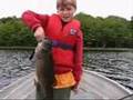 Huge Smallmouth Bass