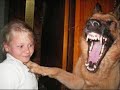 Versus Episode 1- Cat Vs. Dog